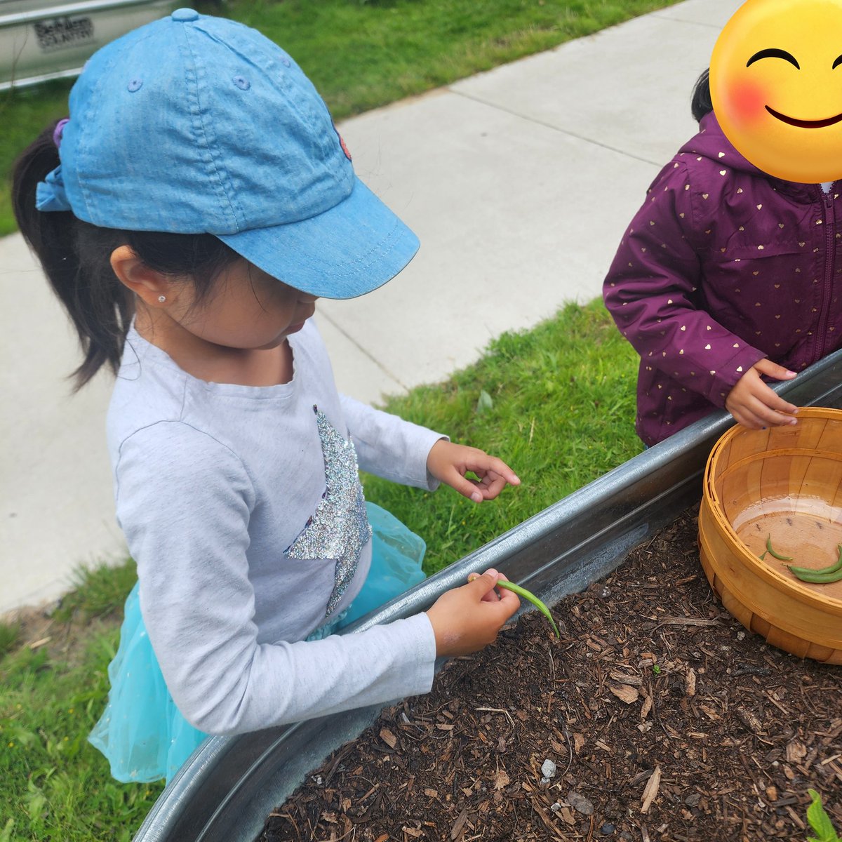 Thank you Ms. Cauchi for helping to turn our #mudkitchen dreams into reality! Now we can cook the green beans we harvested with our students 😍#communitygarden <a href="/BeaumondeBHJMS/">Beaumonde Heights Junior Middle School</a> <a href="/claudy_araujo84/">Claudia Araujo</a> <a href="/suppastars/">SUPPASTARS</a>