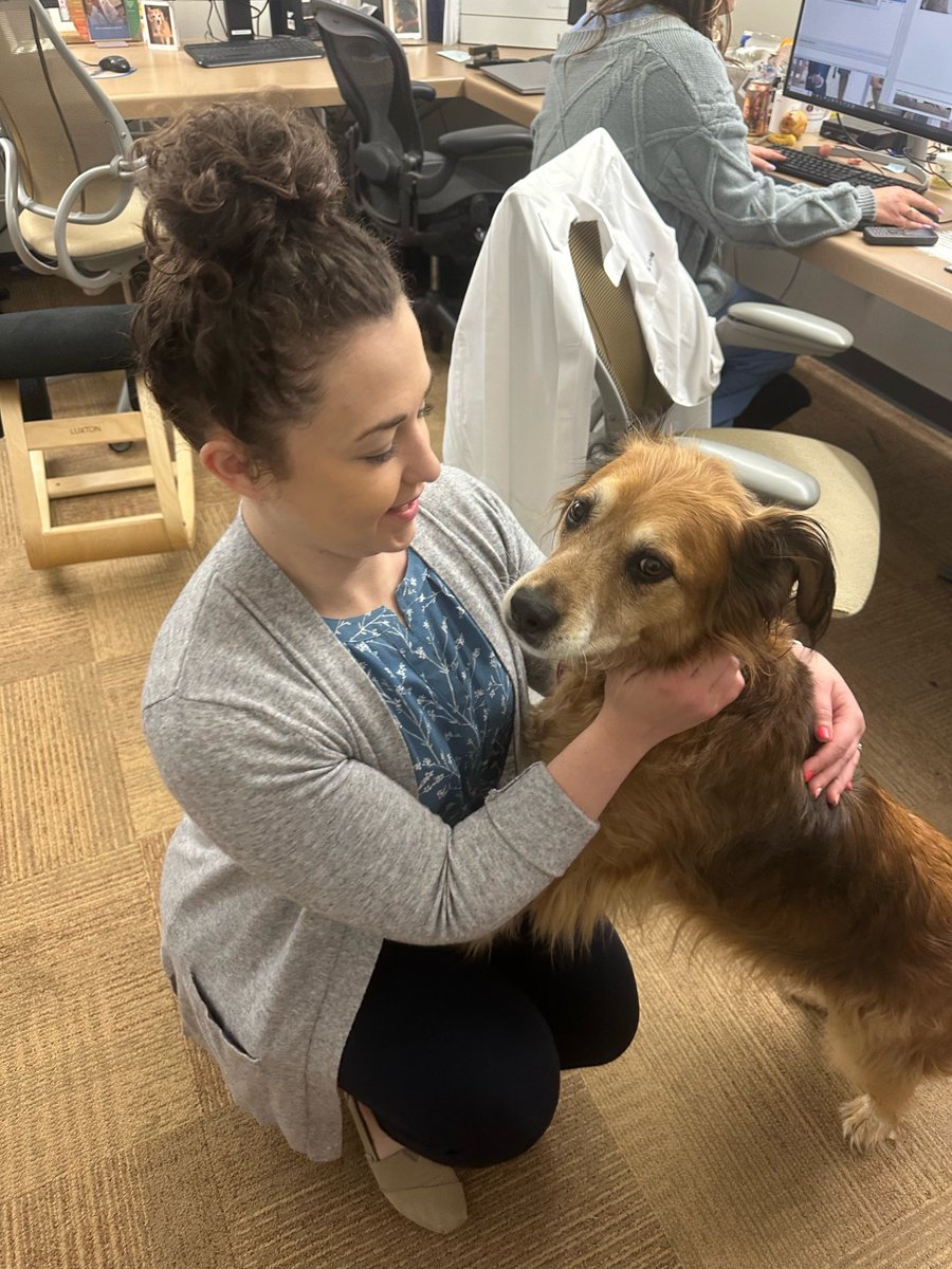 🐶 Our #MedPhys residents had a 💫paw-sitively awesome time on their visit to the UW Vet school #RadOnc dept! They had a 💫ball meeting this adorable patient waiting to be 💫treat-ed. #OkayThatsEnoughDogPuns #SorryNotSorry