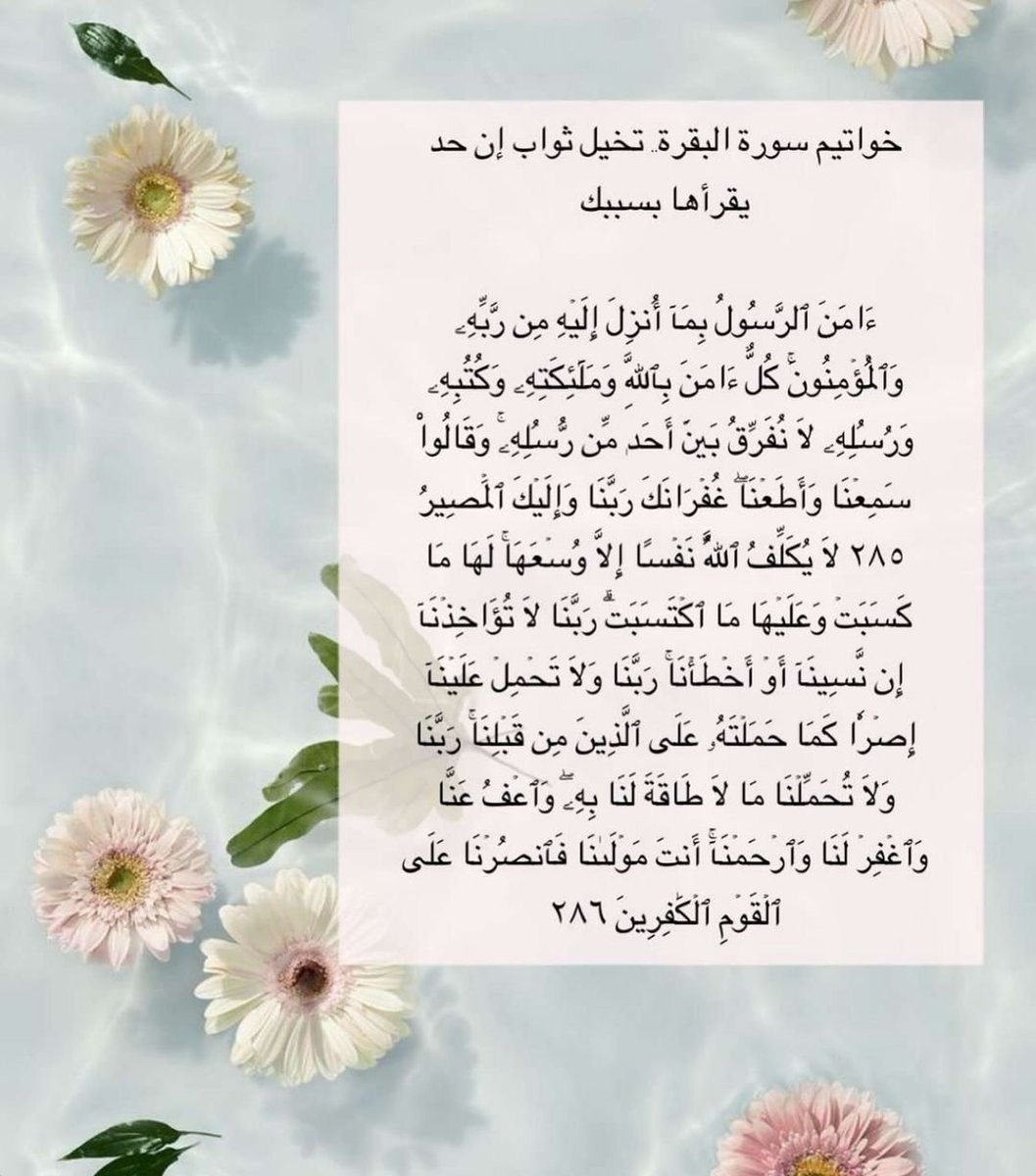 1A_610's tweet photo. خلها بصفحتك وشاركني الأجر لعلها تشفع لنا🤍 https://t.co/o4seWriPrD