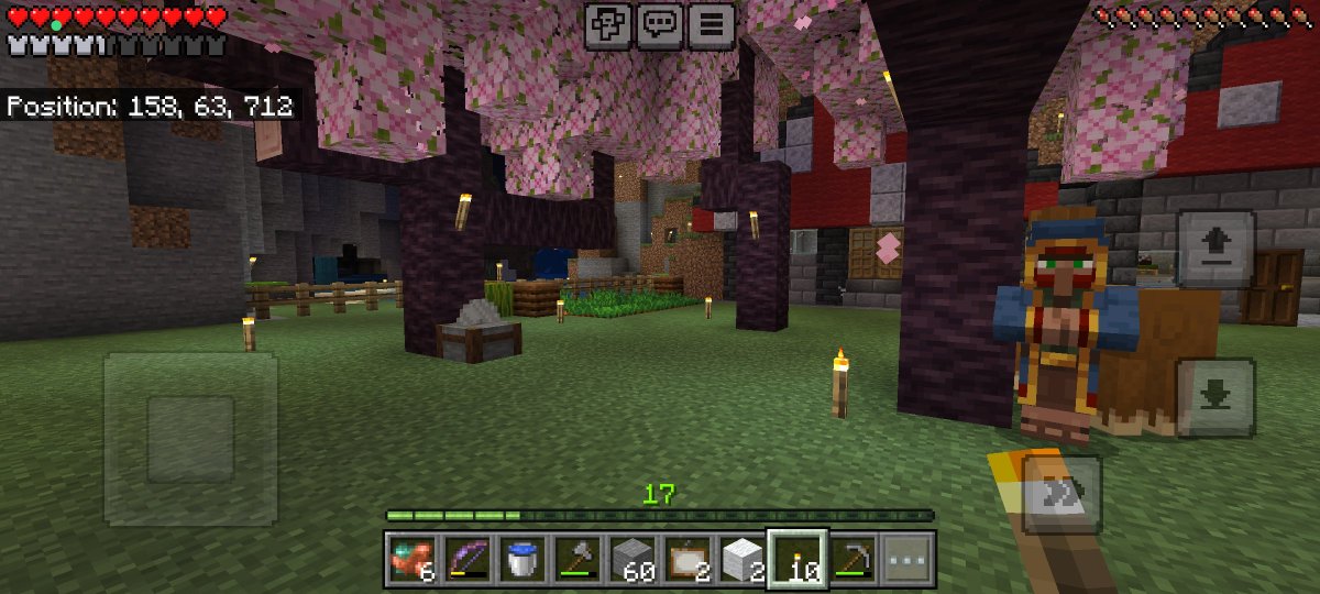 DrFlint_'s tweet photo. วันนี้ต่อเติมหมู่บ้าน FrogLand
#minecraftth #มายคราฟ #minecraft https://t.co/o6YJA3OlIx