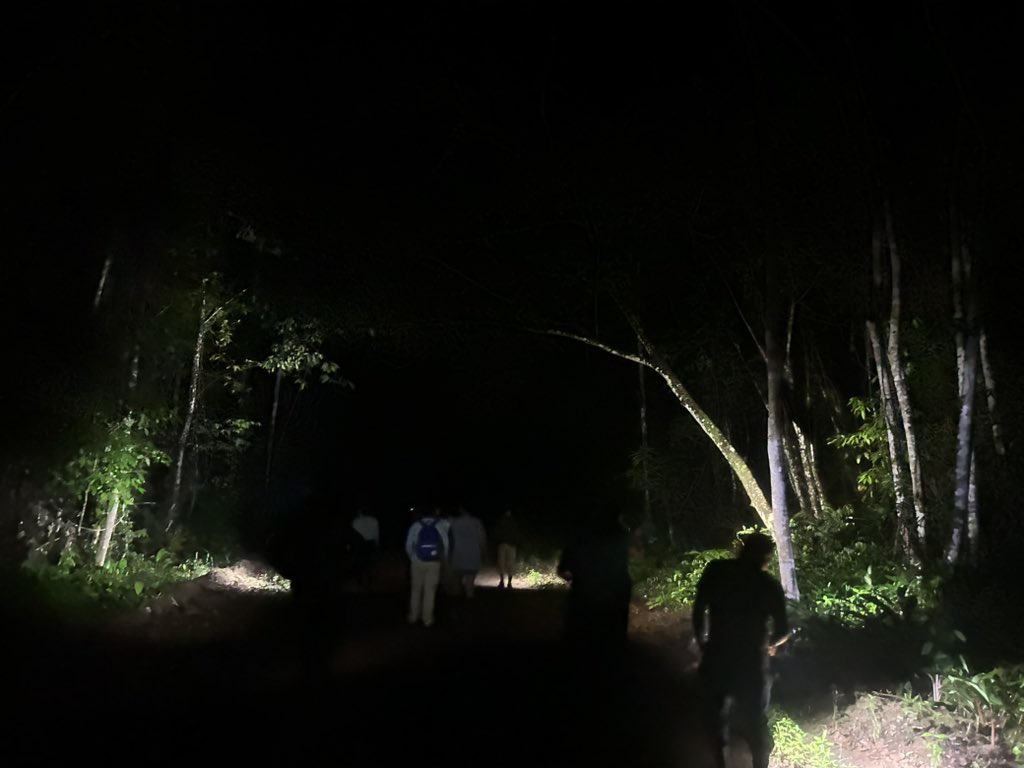 Matt Hallett (@mhallett2320) on Twitter photo Night hike at <a href="/IwokramaGuyana/">Iwokrama River Lodge</a> with EE 2024 students from
<a href="/PrjDragonfly/">Project Dragonfly</a> at <a href="/miamiuniversity/">Miami University</a> Night hike at <a href="/IwokramaGuyana/">Iwokrama River Lodge</a> with EE 2024 students from
<a href="/PrjDragonfly/">Project Dragonfly</a> at <a href="/miamiuniversity/">Miami University</a>