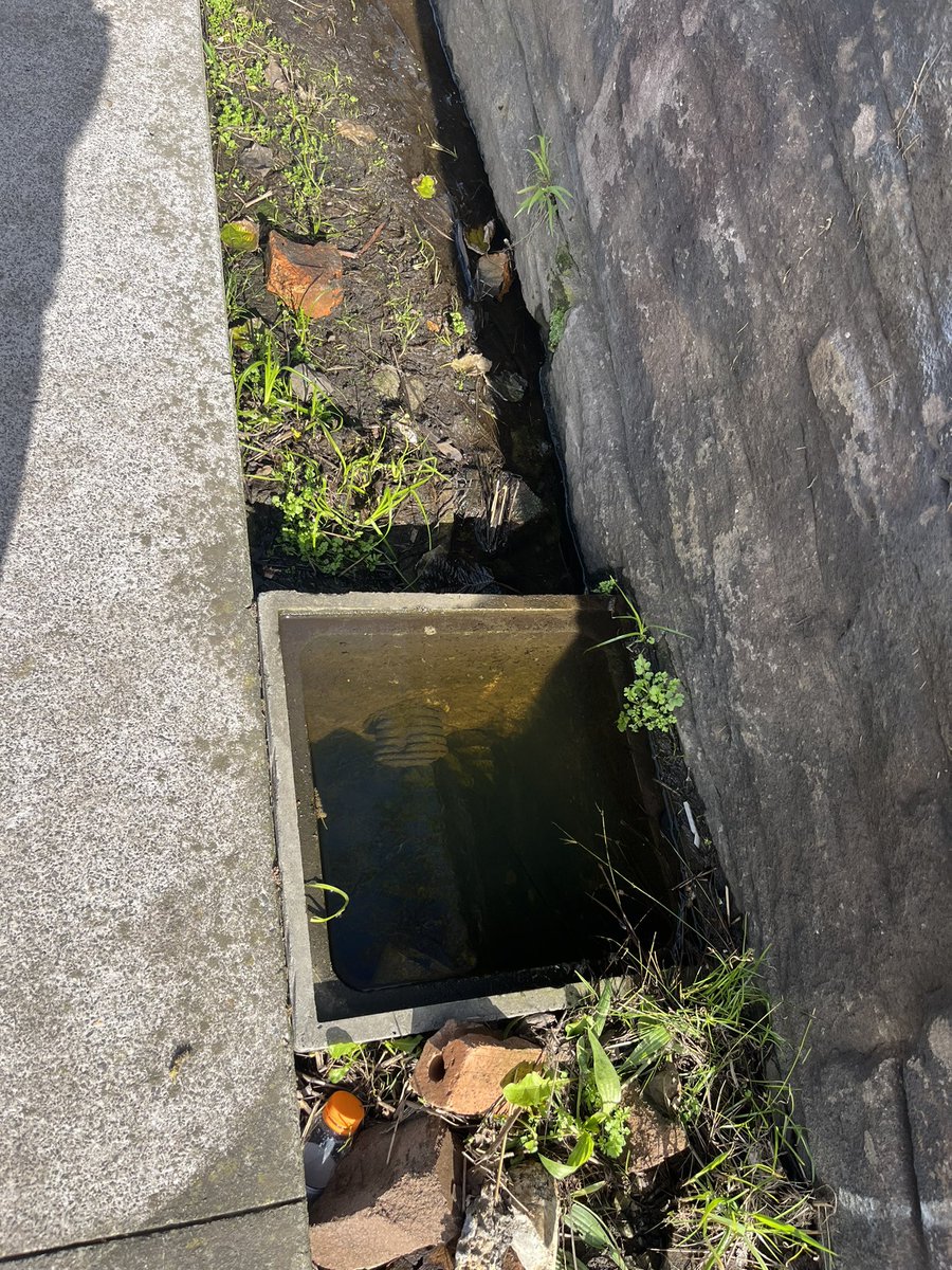 AdamLikeWater tweet media