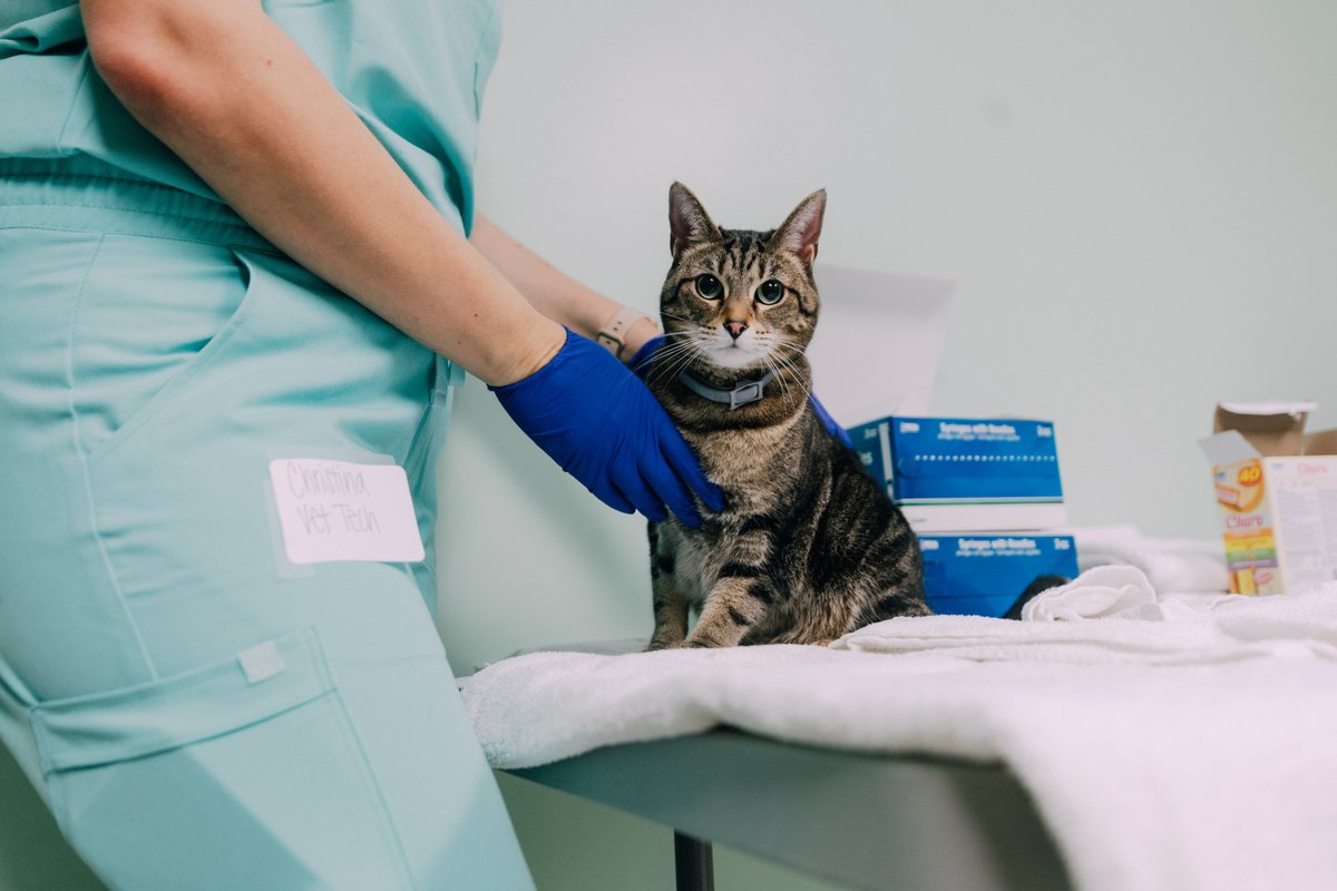 TheStoreNashville tweet media