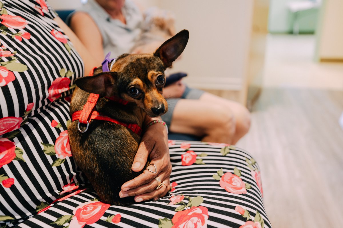 TheStoreNashville tweet media