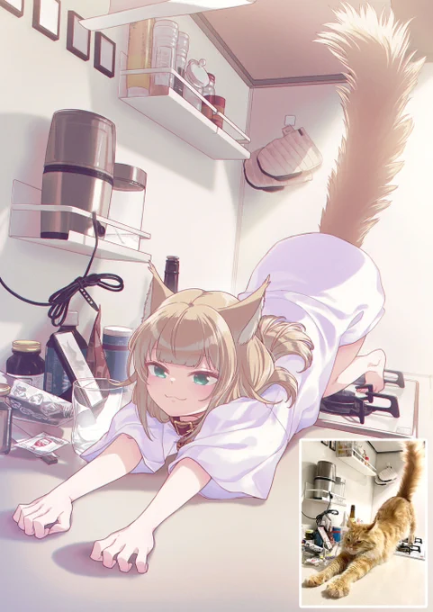 キッチンでのび～ #うちのねこが女の子でかわいい 