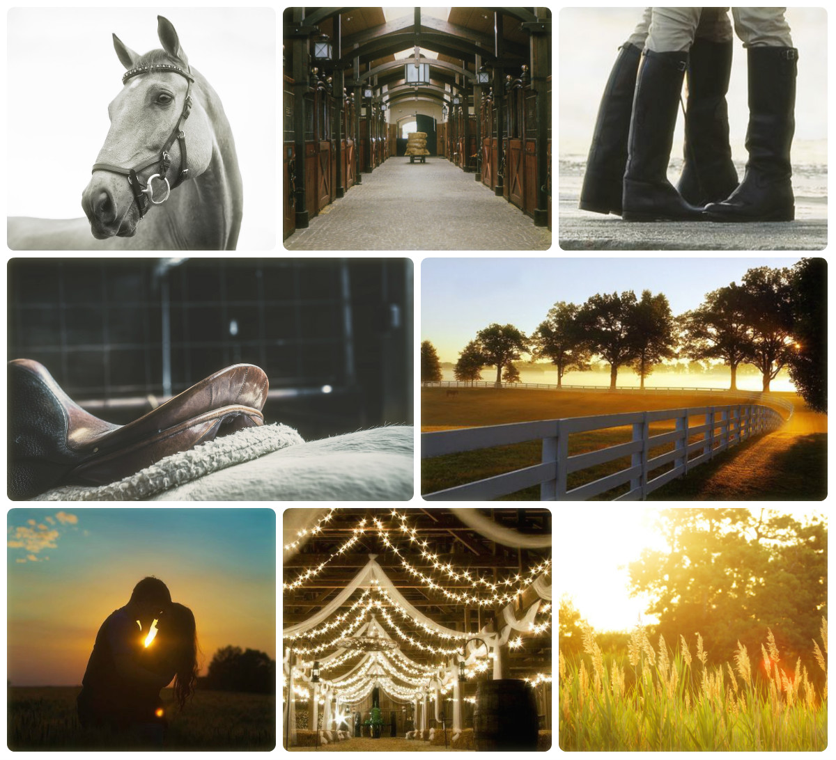 sarahjp22's tweet image. Feeling frisky, so made a new aesthetic for my YA equestrian rom/com that&apos;s currently out on submission
#yaauthor #horsebooks