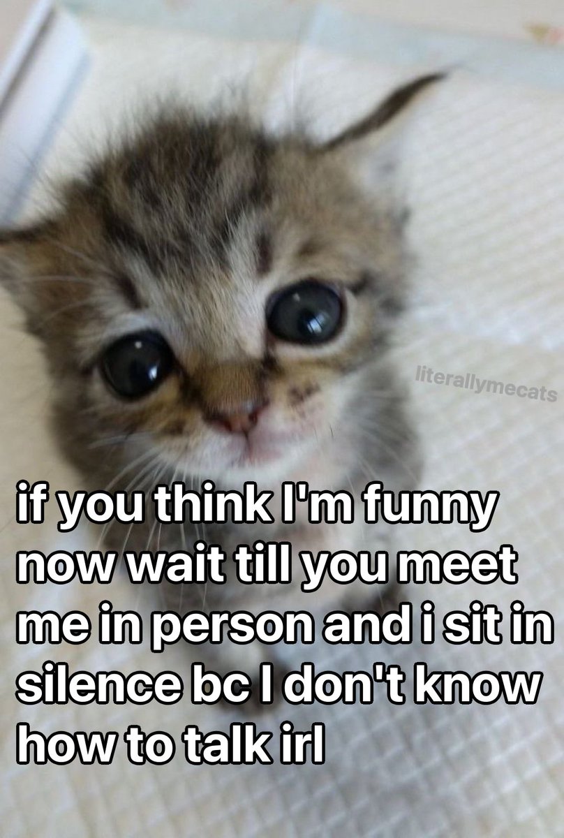 literallymecats's tweet image. 