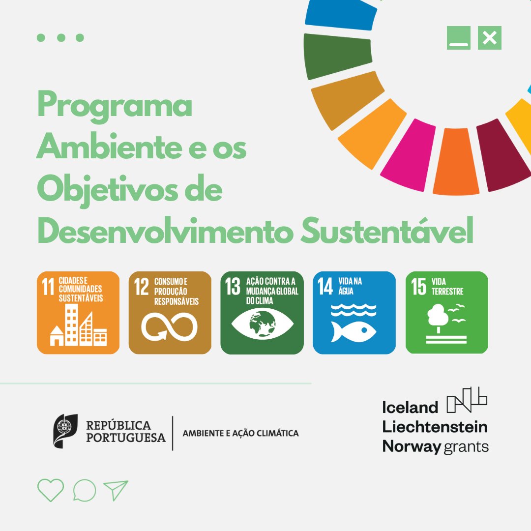 EEAGrantsPT's tweet photo. O Programa Ambiente do EEA Grants, encontra-se claramente alinhado com 5 dos 17 Objetivos de Desenvolvimento Sustentável.

Aceda ao site para conhecer os projetos do Programa Ambiente: https://t.co/lcHV3etHVr

#ambiente #programaambiente #eeagrants https://t.co/UEdvRe0D47