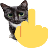 shooerTheFish tweet media