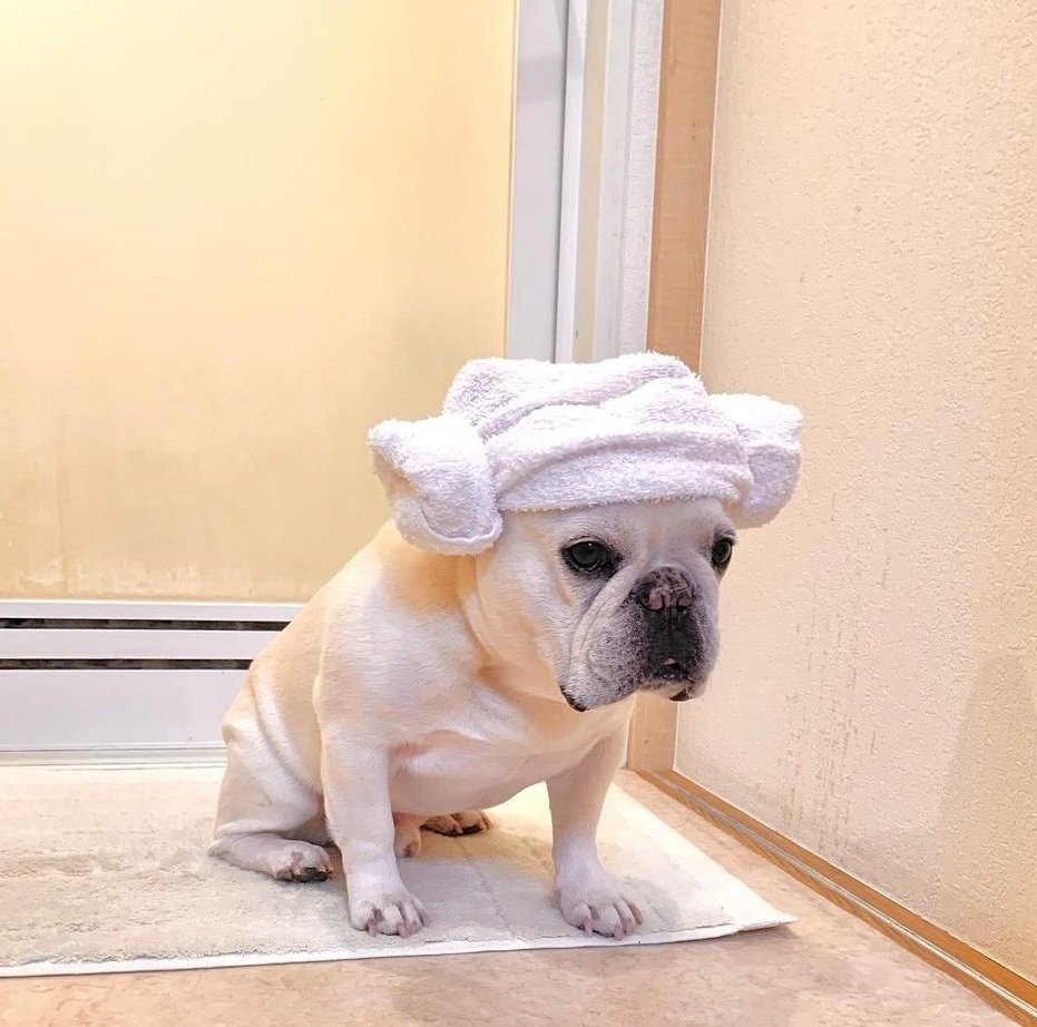 - KESTASIENDO JESU???
- OSTALERO
- COSTALERO SI PARESE LA REINA AMIDALA HIJO
- NO OSTALERO
- VALE VALE PO COSTALERO MU BIENN