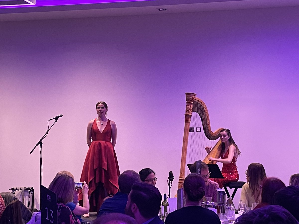 BIMDG's tweet photo. Marking the last #BIMDG meeting coordinated by the fabulous Jacqui McAleer, we are entertained with a fabulous recital during the #BIMDG24 meeting. https://t.co/juEpG2MnBv