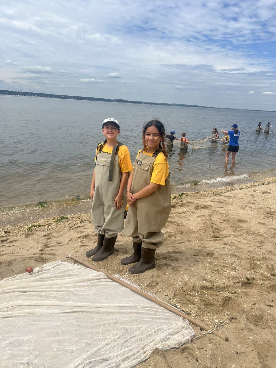 Emily Incledon tweet media