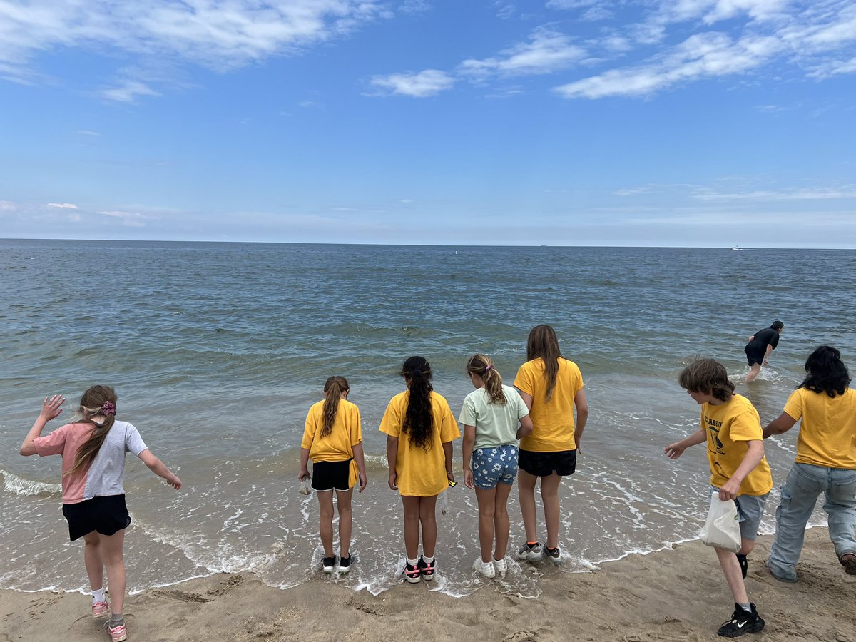 Emily Incledon tweet media