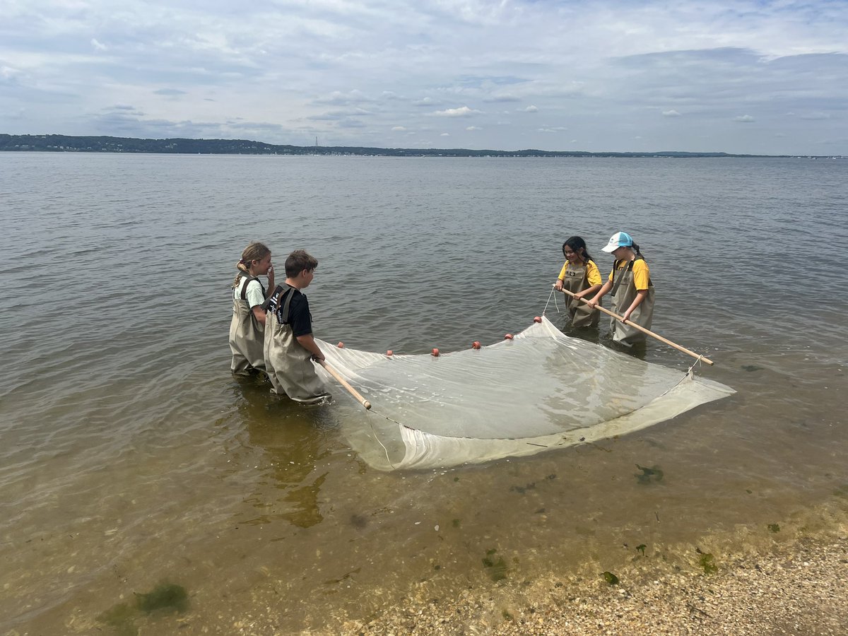 Emily Incledon tweet media