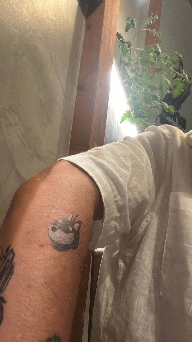Got a <a href="/bonkbot_io/">Telemetry</a> tattoo on <a href="/IslandDAOx/">IslandDAO 🏝️🏝️</a>