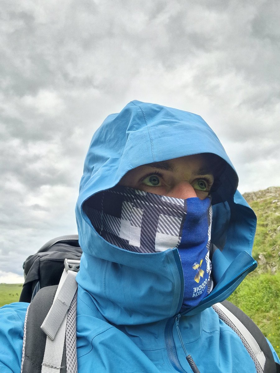 Thomas Hames tweet media