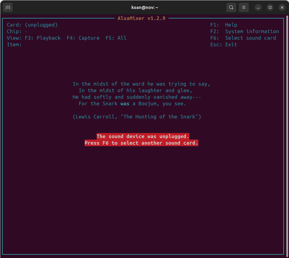 When an error message puts a smile on my face: koen.vervloesem.eu/blog/alsamixer… #LewisCarroll #Snark #Boojum #AlsaMixer