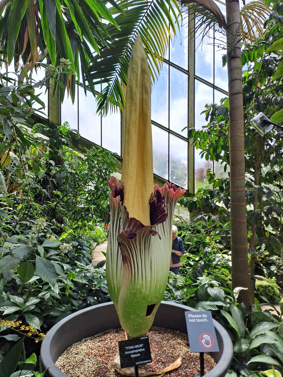 Emma Williams tweet media