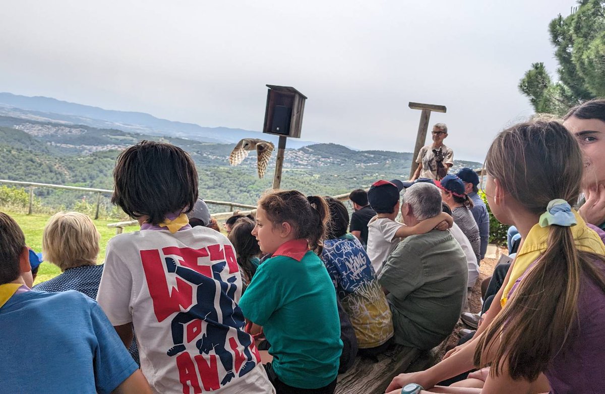 AESFX's tweet photo. Aquest cap de setmana l'Estol🐺  hem culminat la nostra Cacera amb una visita al Cim d'Àligues. Vam gaudir d'una visita guiada sobre les aus rapinyaires, així com les del funcionament del centre. Tot plegat va concloure amb una sessió de vol. https://t.co/K07yzRX68n