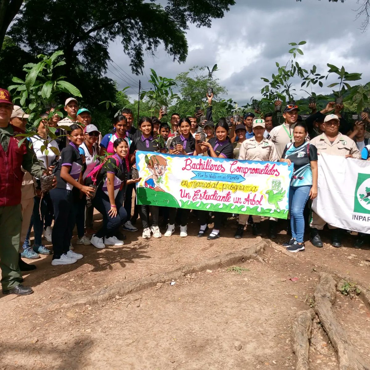 Hoy se realizo la plantación de plantas forestales en el marcó del programa "un estudiante un árbol" con los estudiantes de las instituciones del municipio Anzoátegui en el parque nacional tirgua, porque cada día somos más los que aportamos al cuidado de nuestra madre Tierra. 🌳