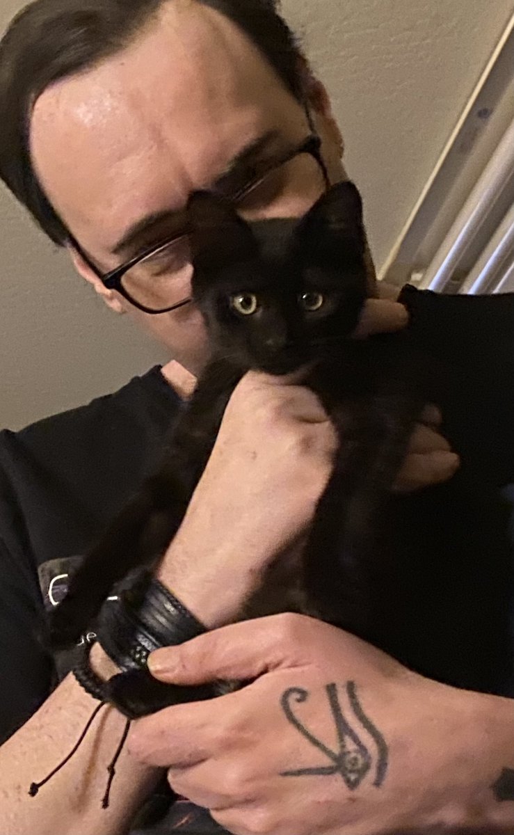 Audrey was found in backyard at 2 months, we trapped her, took her to the vet. Happy healthy kitten.