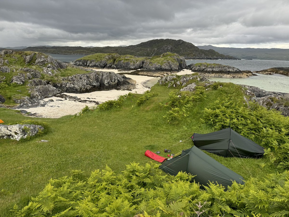 Stephen Hearns tweet media