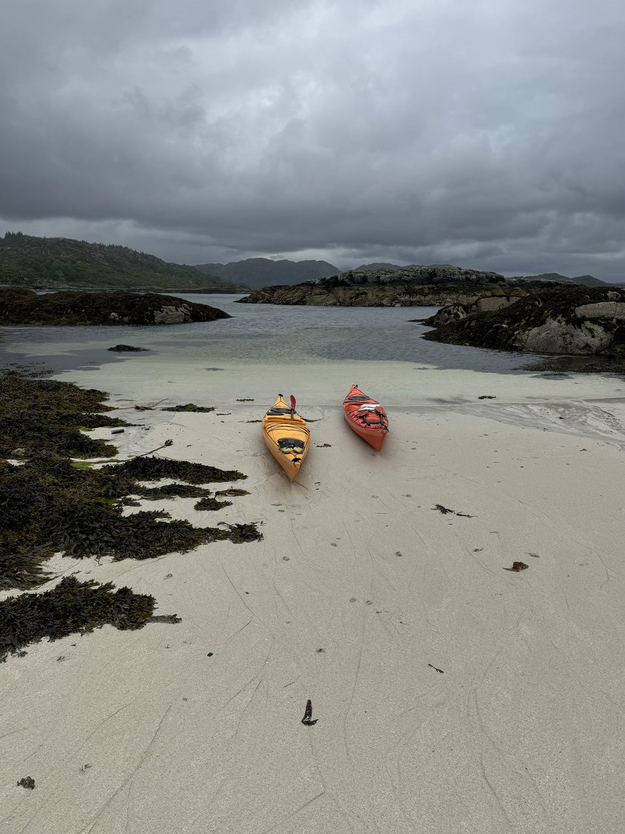 Stephen Hearns tweet media