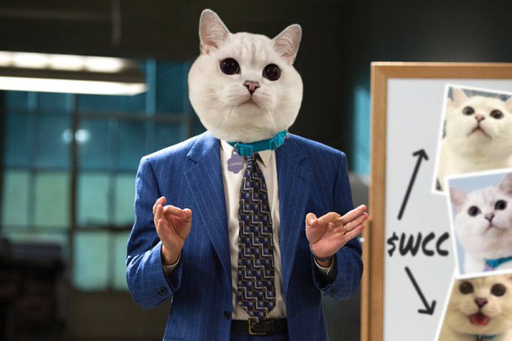 <a href="/DeeZe/">DeeZe ⛳🏌️‍♂️</a> #WhiteCoffeeCat $SC $WCC #1000x <a href="/WCConSol/">White Coffee Cat 😼🛹</a>