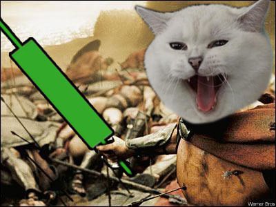 <a href="/SolJakey/">Jakey</a> #WhiteCoffeeCat $SC $WCC #1000x <a href="/WCConSol/">White Coffee Cat 😼🛹</a>