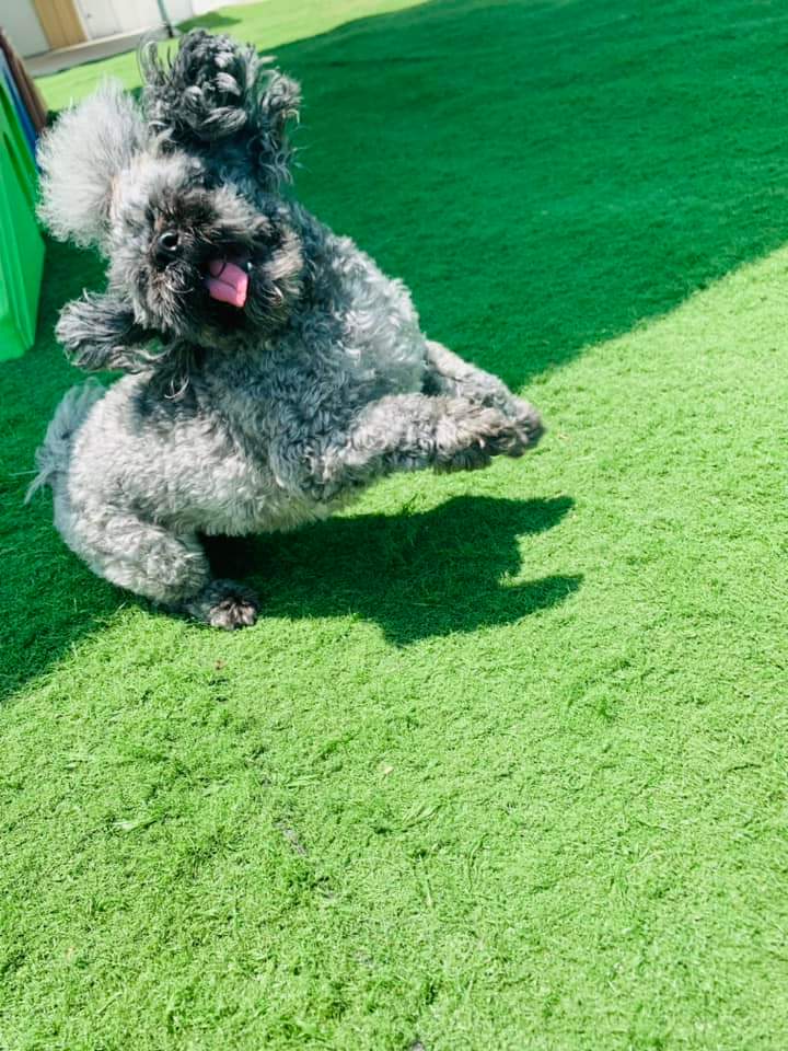 sunpumpmemo's tweet photo. This is one happy girl! ❤️ Rylee https://t.co/HdgkrgxZaT