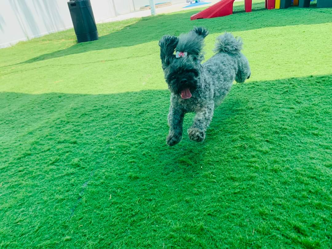 sunpumpmemo's tweet photo. This is one happy girl! ❤️ Rylee https://t.co/HdgkrgxZaT