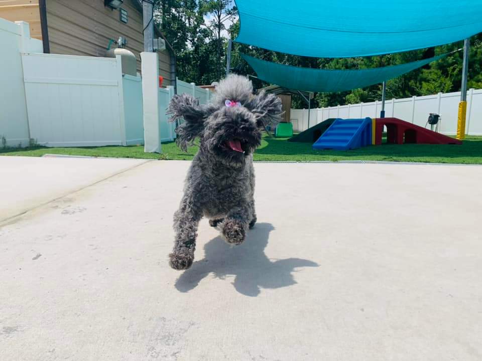 sunpumpmemo's tweet photo. This is one happy girl! ❤️ Rylee https://t.co/HdgkrgxZaT