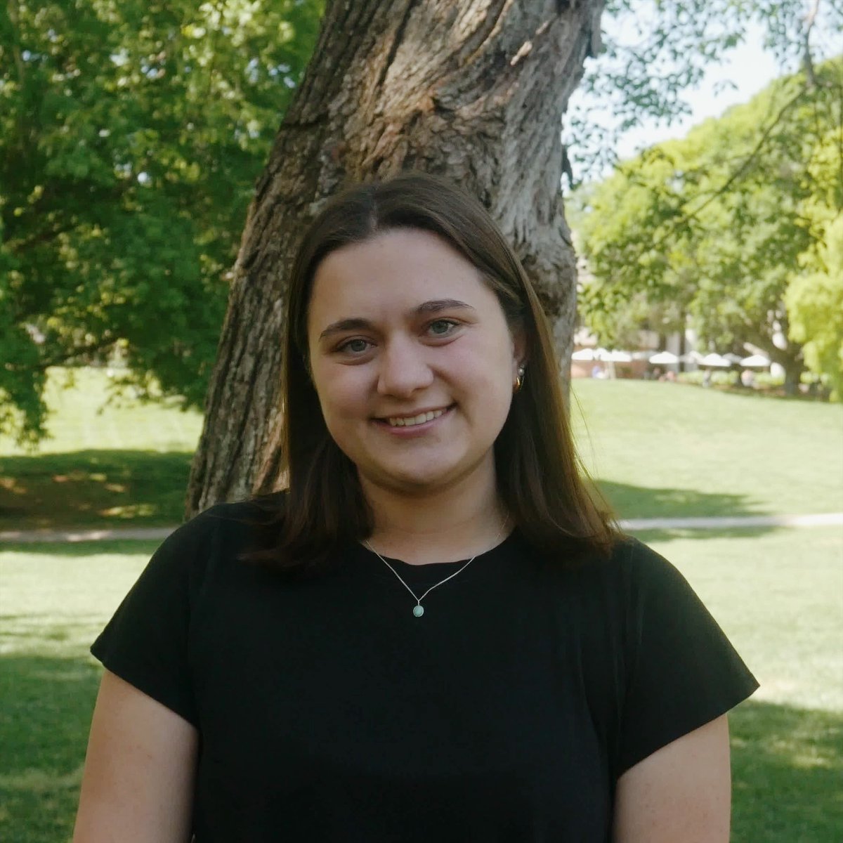 The College Crisis Initiative (C2i) tweet media