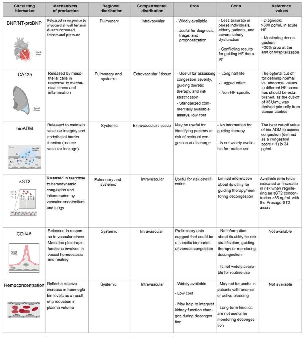 javier20ch's tweet photo. Fenotipos de congestión en la IC. 🧐🫁🫀💦
🔶️Una evaluación integradora con síntomas, signos, imágenes y biomarcadores puede ser útil para identificar el fenotipo de congestión predominante. Esto puede tener implicaciones terapéuticas cruciales.
🔺️Congestión intravascular: por activación del SNS (cambio del volumen no estresado), más agudo, ↑BNP.
🔺️Congestión tisular: retención crónica de Na y agua que condiciona fuga a intersticio (ley starling), ↑Ca-125.
🔶️4 fenotipos: intravascular pulmonar, tisular pulmonar / intravascular sistémico, tisular sistémico.

📥📚⤵️:
https://t.co/oz0IUzFmsY
https://t.co/jiACS4Wzmm