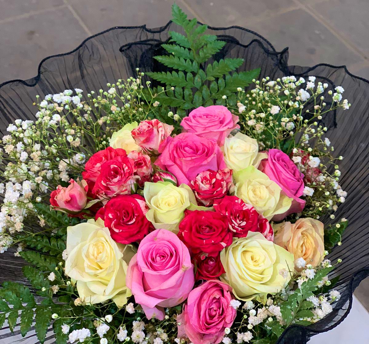Reema_2731's tweet photo. ﴿وآخر دعواهم أنِ الحمدلله ربِّ العالمين﴾

الحمدلله الذي بنعمته تتم الصالحات

بفضل من الله وتوفيقه، تم تخرجي وحصولي على درجة البكالوريوس في علوم الحاسب مع مرتبة الشرف الأولى 🎓

اللهم انفعنا بما علمتنا وزدنا علمًا 🤍 https://t.co/oHxyEgxTGC