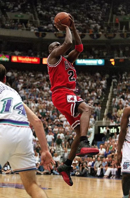 Chicago bulls jordan 12 online