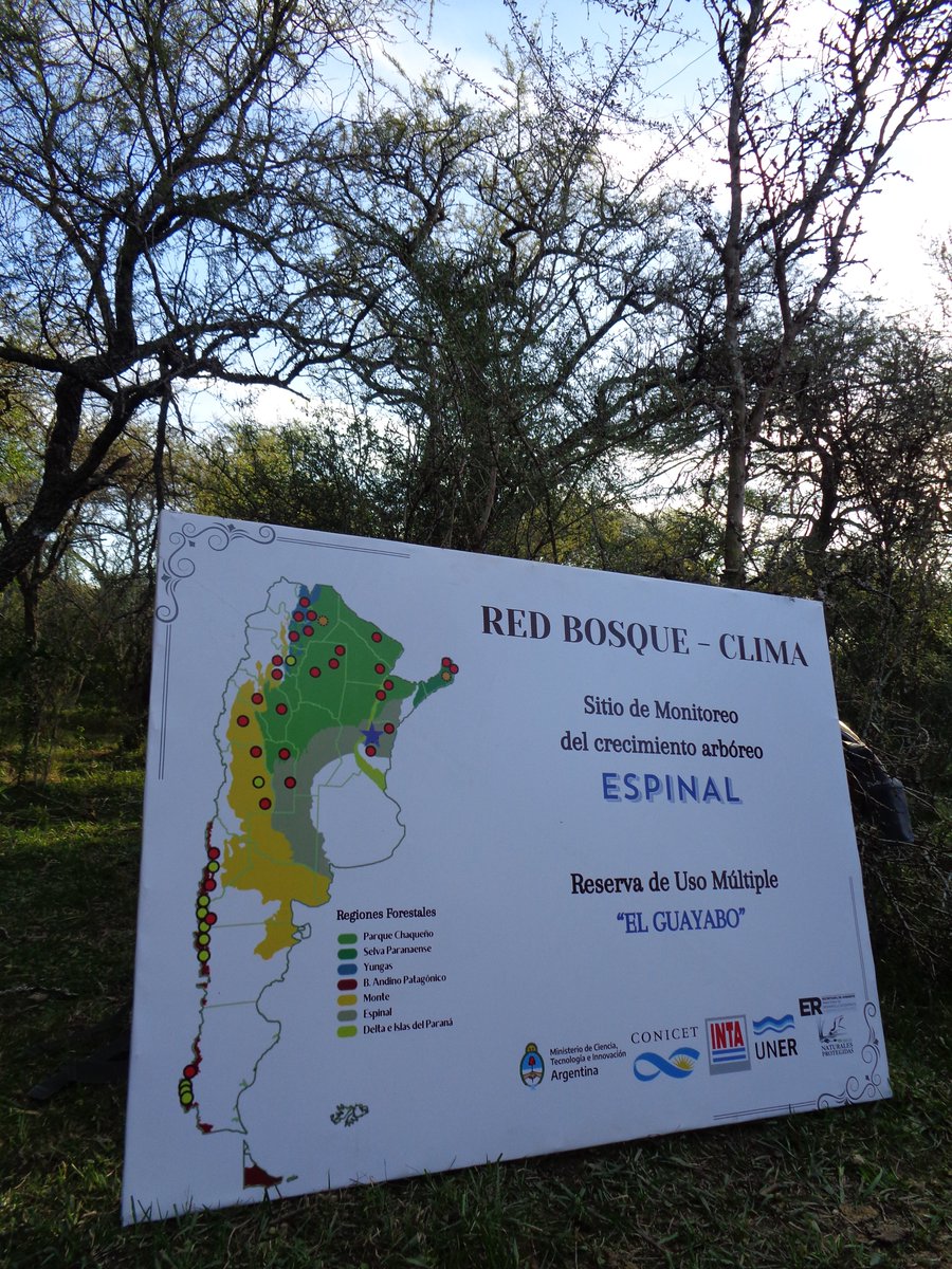 SilvanaSione's tweet photo. RED Alto Impacto BOSQUE-CLIMA. Instalamos la estación de monitoreo en la Reserva "El Guayabo" para medir el crecimiento de los Ñandubay en el Espinal entrerriano @ianigla @CONICETDialoga @uneroficial @Marcelo36824629 https://t.co/mZ4tb8Zr1M