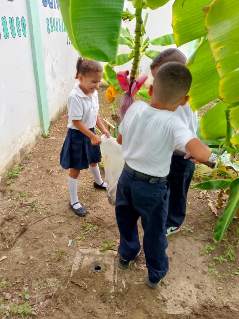 🇻🇪🌽🌱PTMS FALCÓN 🌱🌽🇻🇪 tweet media