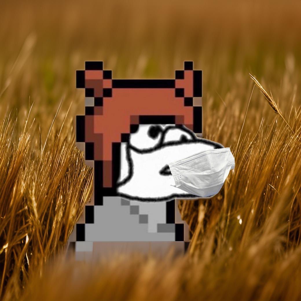 bird with mask tweet media