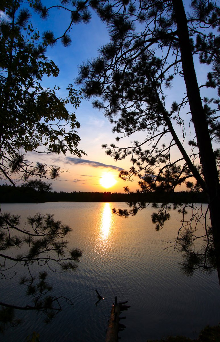 InventingRealit's tweet image. Best Hiking Guide to Northwest Wisconsin 
#hiking #travelwisconsin #discoverwi
hittinthetrail.com/best-hiking-gu…