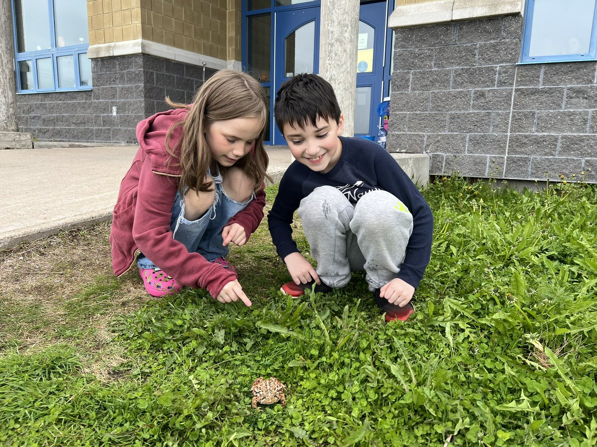 Mark Barry (STEM Education) tweet media