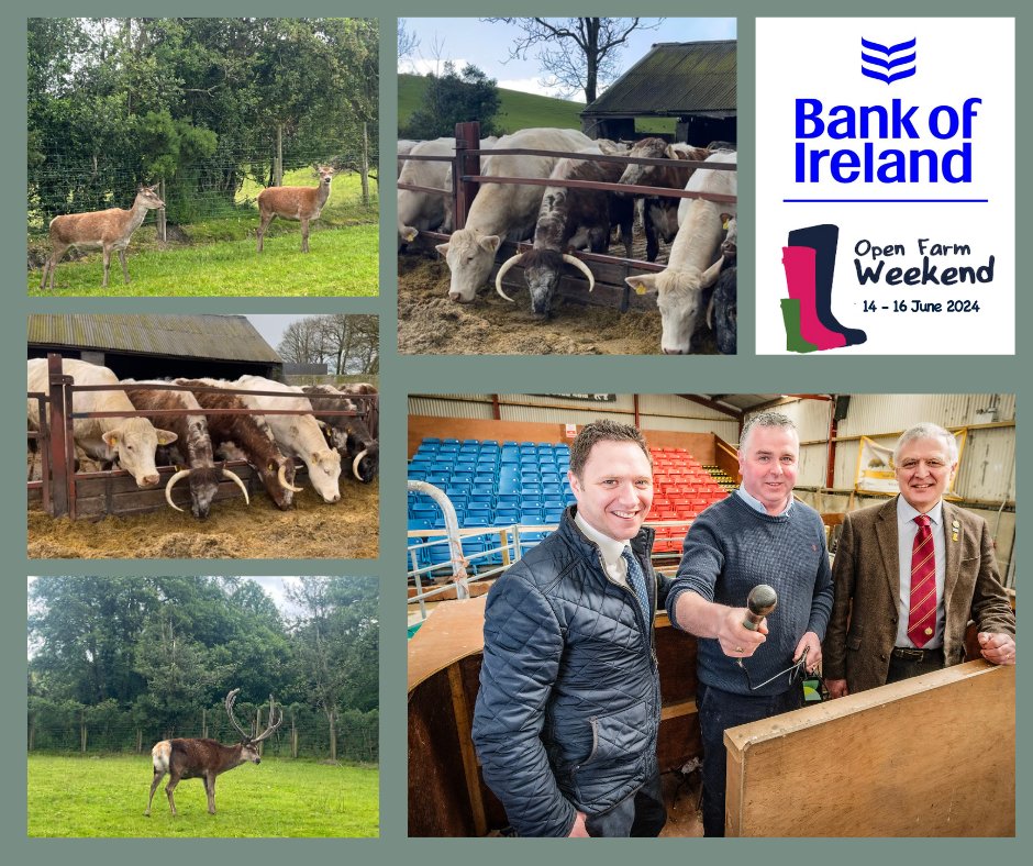 This Saturday 15 June join our team, the <a href="/UFUHQ/">Ulster Farmers' Union</a> &amp; <a href="/BankofIrelandUK/">Bank of Ireland UK</a> as we kick off Bank of Ireland Open Farm Weekend from Beatties Glenpark Farm, near Omagh. Follow our socials to hear about the farms you can visit &amp; the fun/educational activities taking place across the weekend!