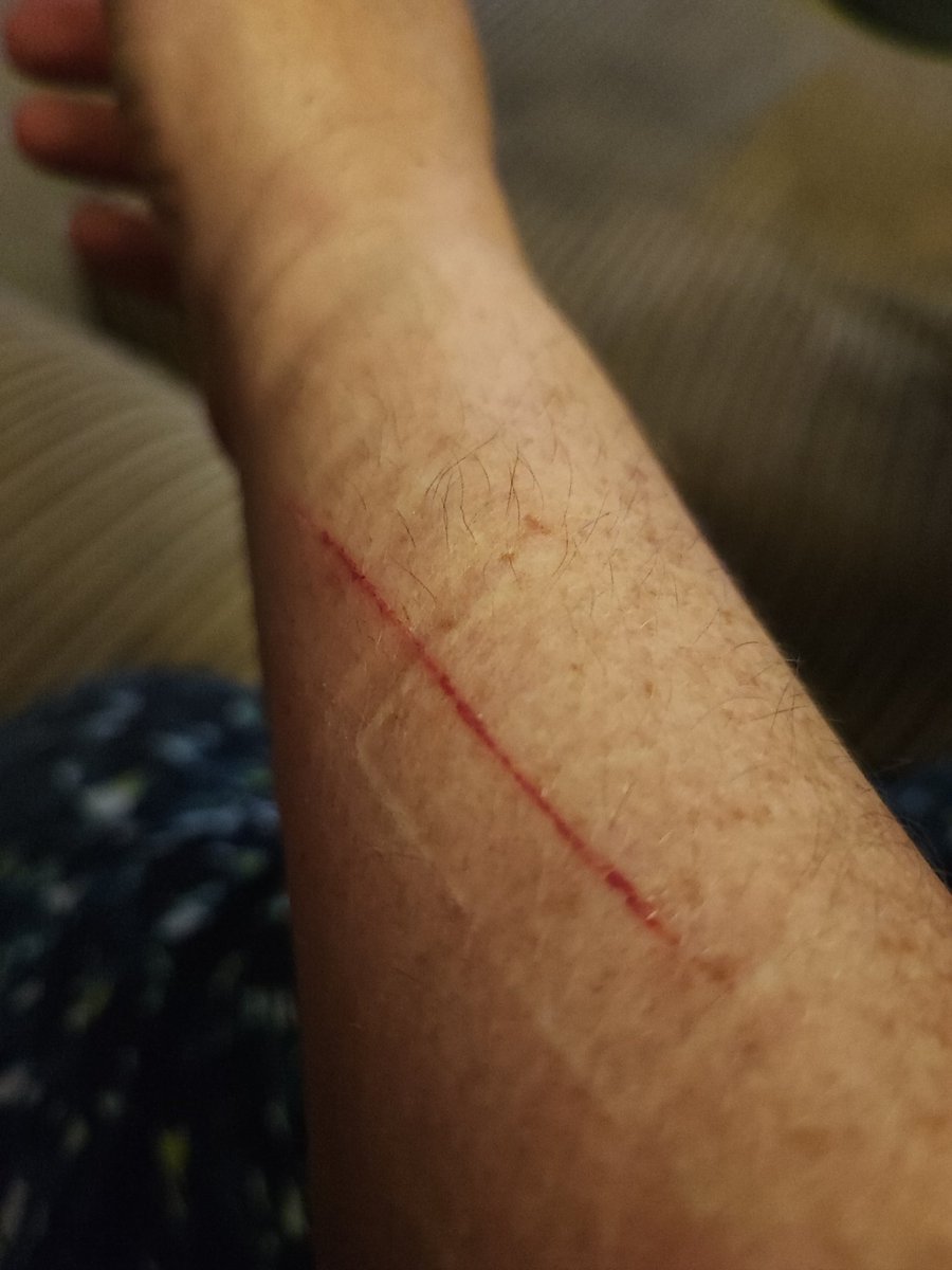 Denise Wilton tweet media