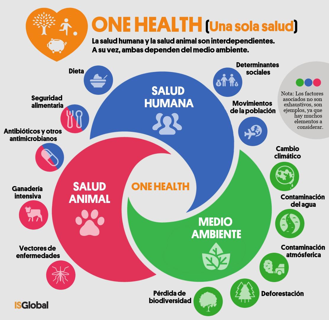 Que importante es el concepto ONEHEALTH! Que bien conceptualizado, pensado y diseñado. Este mes nos “EMBARCAMOS”,lo viviremos en primera persona. 🐟🥳. Me encanta la medicina, sus brazos abarcan tantas dimensiones!!!😜