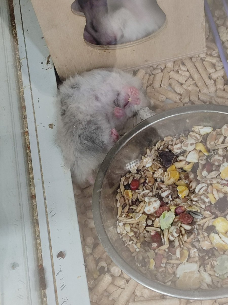 🧷ох уж эта кью🖤 tweet media