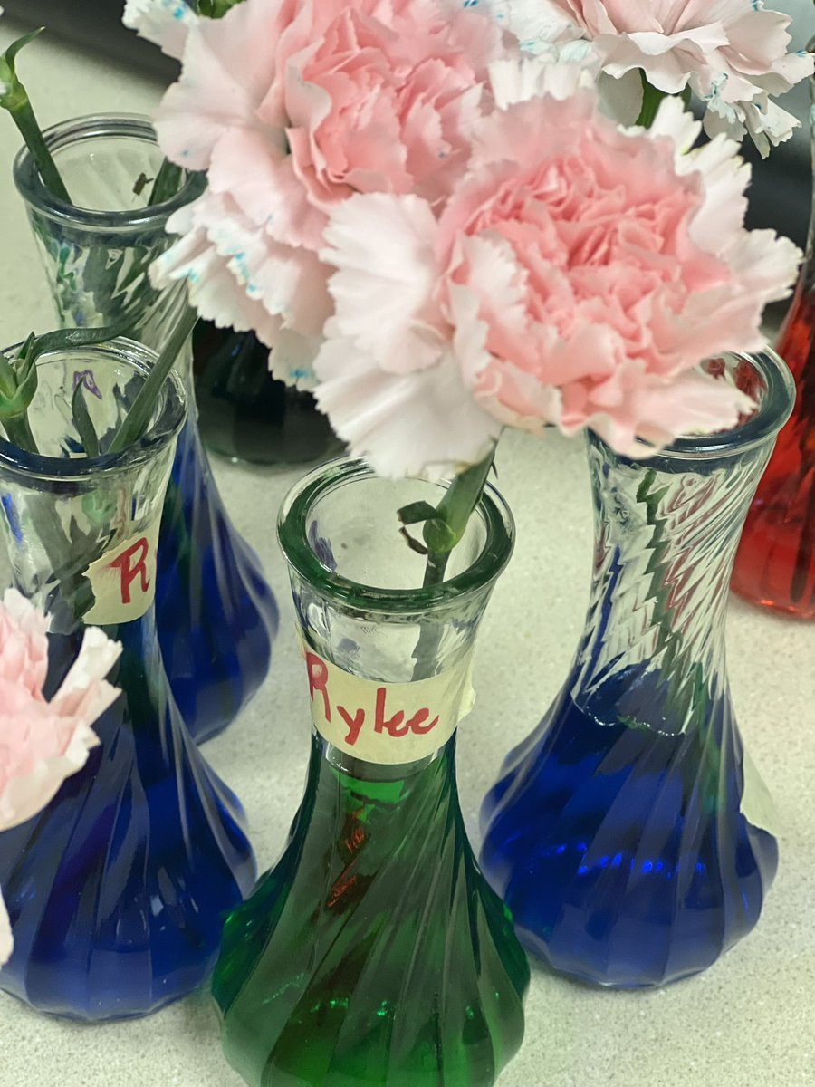 ttuttero's tweet image. These campers are blossoming at @RSS_CTE Summer Camp