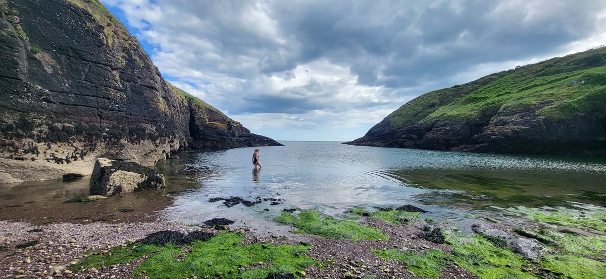 PatrciaGay1's tweet photo. PERFECT SUMMER IN IRELAND
✨️🌬🍀
📌 Dunmore East, Ireland
#retirosenirlanda #viatgesúnics #turismosostenible #llibertad #paraisosnaturales #pazmental #viajesparaalmasinquietas https://t.co/SnF4zKNlAr