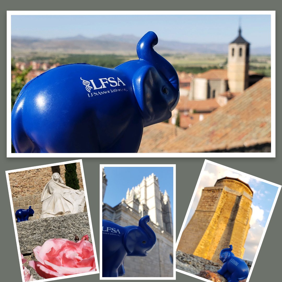 LFSAssociation's tweet photo. Our elephants are on the move - donate or join a Climb for a Cure team and we'll send you an LFSA stress reliever elephant! Funds raised will support the 7th International LFS Association Symposium hosted at @PennMedicine and @ChildrensPhila this fall: 
https://t.co/nYxUowEdbE https://t.co/T92jqLO7Bq