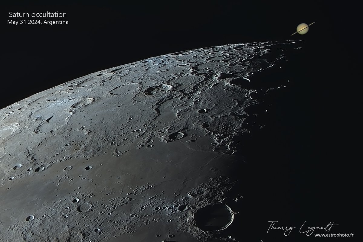 ThierryLegault's tweet image. The May 31 occultation of Saturn from NE Argentina: genuine, as visible through the C8. No photomontage, no AI! 馃槉
The turbulence was high but the sky was clear to show Saturn partly disappearing behind the dark part of the Moon (grazing occultation)
Image 1/2: before occultation