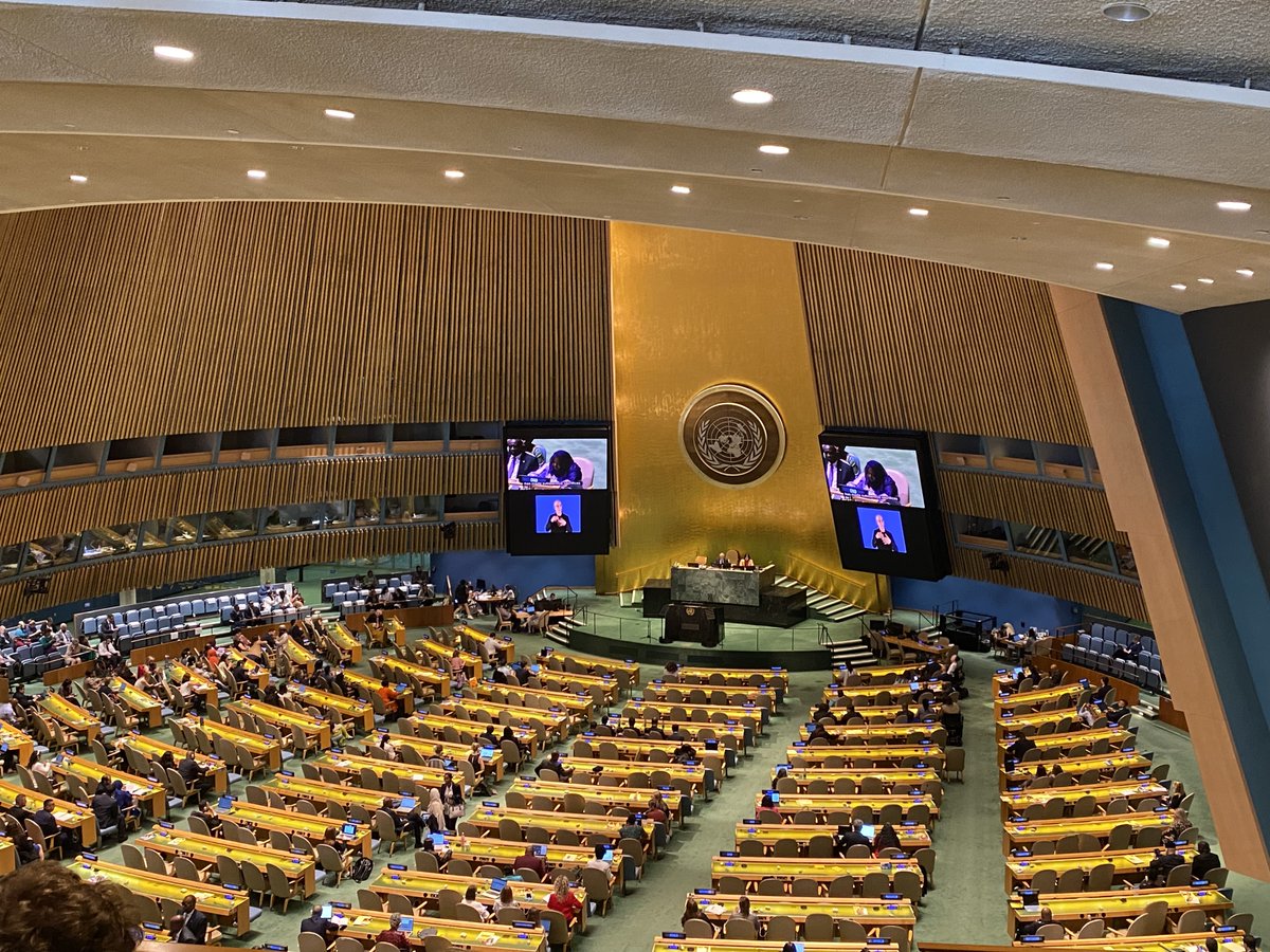WomenEnabled's tweet photo. Today at #CoSP17, at the General Debate in the General Assembly Hall, we delivered our statement on the future of disability. In the words of WEI's Amanda McRae: "A feminist approach to disability rights and justice means a major shift  in how work on disability rights operates." https://t.co/GEPJB2xJEj